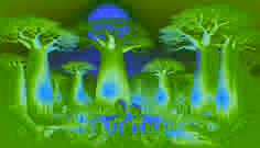 Los aldeanos se reunían bajo los árboles de baobab al anochecer mientras los hipopótamos emergían del río para hablar.