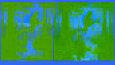 A fog-shrouded hunter fumbling with broken traps in a dark marsh as an owl-woman’s silhouette vanishes above.