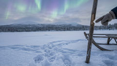 Ijiraq tracks in snow, Inuit myth warning signs and memory rituals
