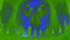 Chimponda y Mutale se enfrentan a un místico elefante blanco, Njovu, en un bosque neblinoso de Zambia, plantando cara valientemente ante sus ojos resplandecientes.