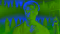  Ionuț stands at the forest’s edge, his hair now white and eyes glowing, staring back at the village he can never return to.