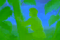 Jack sube por la altísima planta de frijol al amanecer, mientras las nubes giran alrededor del gigantesco tallo.