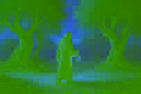 Zeinab walking through a sunbaked olive grove, carrying a glowing lantern at dawn