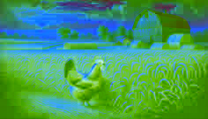 Little red hen proudly surveying a bountiful, golden harvest in a quiet field
