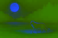 Un lobo espectral y pálido de pie, solo, sobre llanuras de hierba iluminadas por la luna bajo un cielo estrellado.