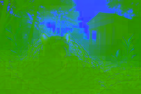 A small mouse trapped in a hunter’s net amidst forest debris at dawn