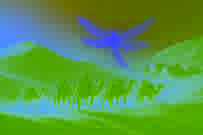 Ancient Bedouin tribe led by a glowing dragonfly spirit to an oasis in the desert
