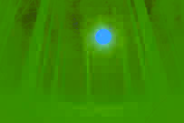 Una fotografía nocturna con baja calidad que muestra un orbe resplandeciente flotando sobre pinos.