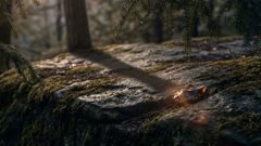 ظلّ رفيع يمتد عبر نتوء صخري مغطّى بالطحالب عند الغسق، ليعكس سكون سبيرفينجر الغريب وهدوء الجبل.