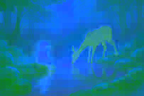 Niño estrella de pie junto a un estanque brumoso en el bosque, mientras Branna observa maravillada.