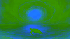 A calm sea within the eye of a storm as the turtle pauses her journey