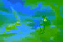 Una hormiga lleva granos mientras una cigarra toca una melodía junto a un arroyo.