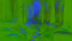 Ancient pine grove with stones arranged in a ceremonial circle beside a flowing creek under soft moonlight.