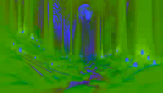 Eerie glow of lantern-like lights drifting above a creek in a dense pine forest, illuminating misty air at twilight.