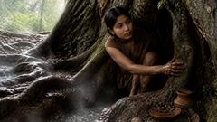 Im Dunkeln unter den Wurzeln atmete der Baum Wärme wie ein vergrabener Brennofen.