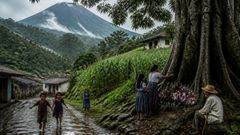 La lluvia encontró las raíces esperando, y la ladera retuvo lo que antes habría huido.