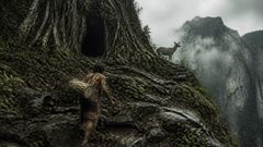 A crista não guardava trilha alguma, apenas avisos, raízes úmidas e uma criatura que esperava ser seguida.