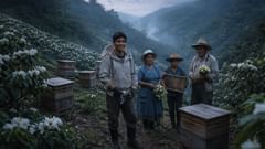 La colina devolvió lo que se le había dado, y las abejas regresaron a casa.