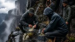 Ihre Klingen wirkten klein an der Klippe, doch das Wasser veränderte sich sofort.