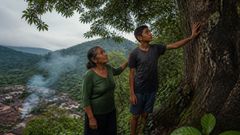 Nessa altura, a colina já não implorava; falava na gramática serena da água e da sombra.