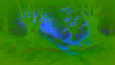 Ein leuchtender Hain im alten Wald, wo ätherisches Licht und zarte Blüten einen einsamen Wanderer einladen.