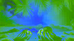 Two crabs side by side by a rock pool as morning light filters through palm fronds