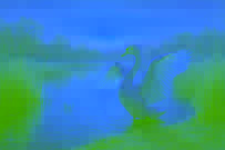 Um majestoso cisne branco emergindo de águas azuis ondulantes