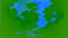 madeiras coloniais cortando árvores ao amanhecer em uma floresta em névoa na Colômbia