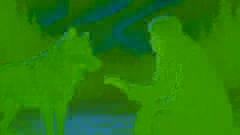 White Fang acariciando suavemente la mano de su cuidador humano bajo las danzantes luces verdes del norte.