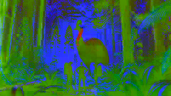 Un enorme casuario enfrentándose a cazadores armados en un claro de bosque cubierto de niebla.