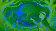 El Salmón del Conocimiento