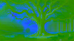 La Légende de l'Arbre de Cornouiller