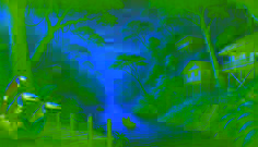 O Cão Fantasma de Tortuguero