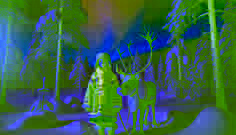 Las Auroras Boreales y los Renos