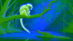 Le Singe et le Crocodile : une histoire d'ingéniosité et d'adaptabilité