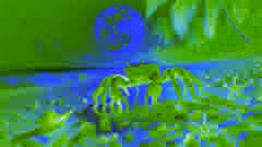 The Coconut Crab of Guam: A Tale of Greed and Loss
