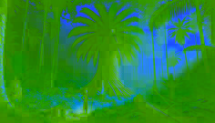 The Talking Palm Tree of the Igbo