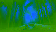 The Bamboo Grove of Jeju