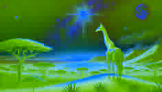 La estrella de la jirafa en el Karoo