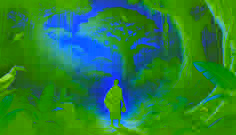 Die geheimnisvollen Trommelschläge des Waldes