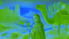 Das sprechende Kamel von Ghadames