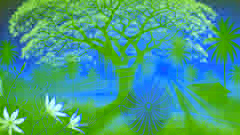 Song of the Ñandutí Spider