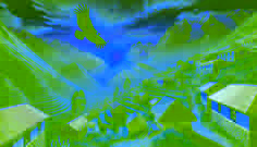 The Condor’s Daughter