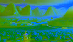 The Witch of Viñales Valley