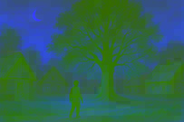 The Enchanted Lime Tree