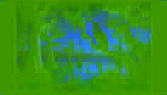 La Luchosa: The Owl with a Woman’s Face