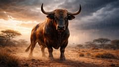 El cuento del Toro de la Lluvia y la Hechicera de la Lluvia.
