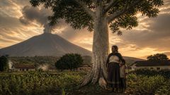 The Ceiba That Drank the Ashes of Izalco