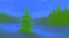 Die Tanne