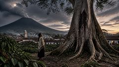 La noche en que la Cuyancúa trepó la ceiba